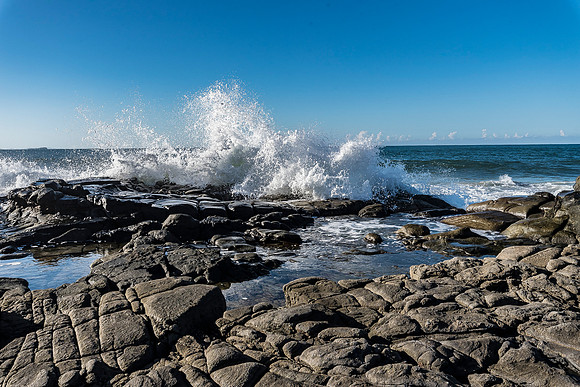 Zenfolio-29